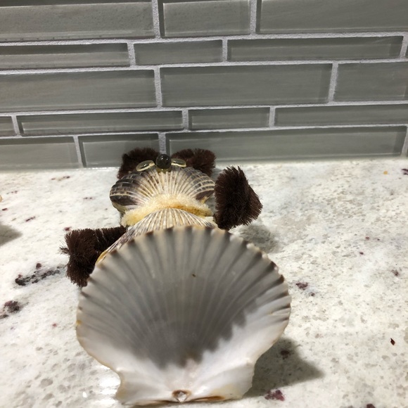 Shell People and 2 Shell Keychains Included - Picture 10 of 16